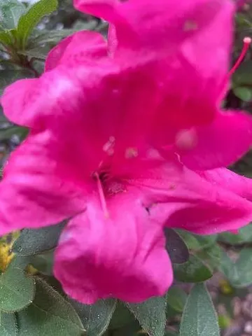 $292,000 | 9046 Tyler Avenue, Jacksonville, FL 32208