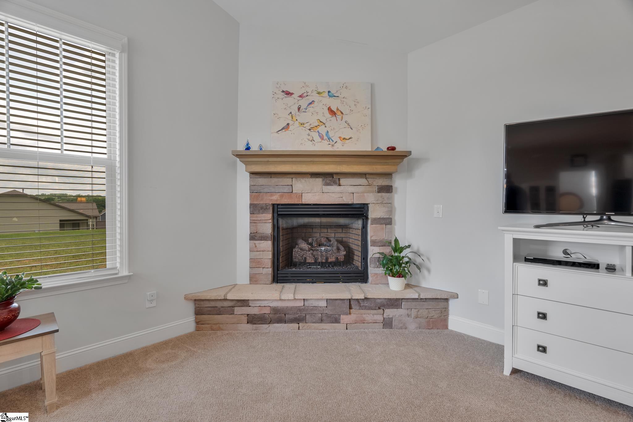 301 Ellsberry Way Greer, SC 29651 - Photo 7 of 28 Gallery Image 7