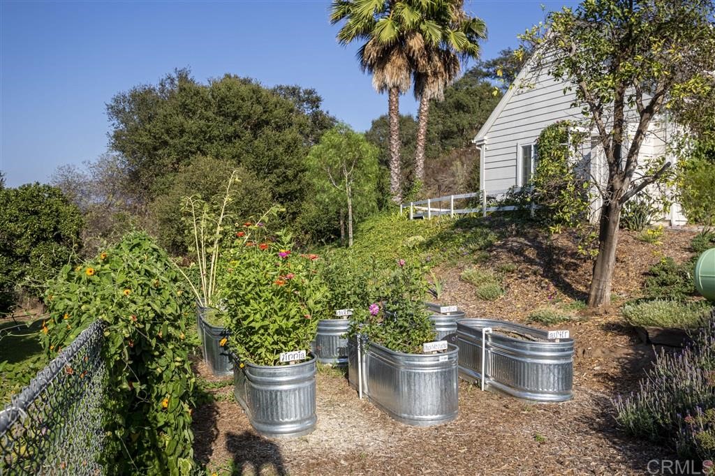 3945 Pala Mesa Drive Fallbrook, CA 92028 - Photo 15 of 23 a view of a backyard with plants and garden