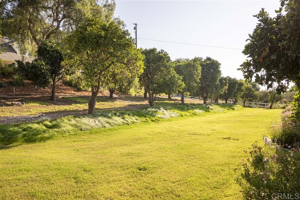 3945 Pala Mesa Drive Fallbrook, CA 92028 - Photo 22 of 23 a view of an ocean with a trees