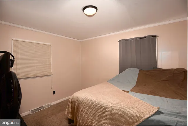 a view of house with garden and tall trees