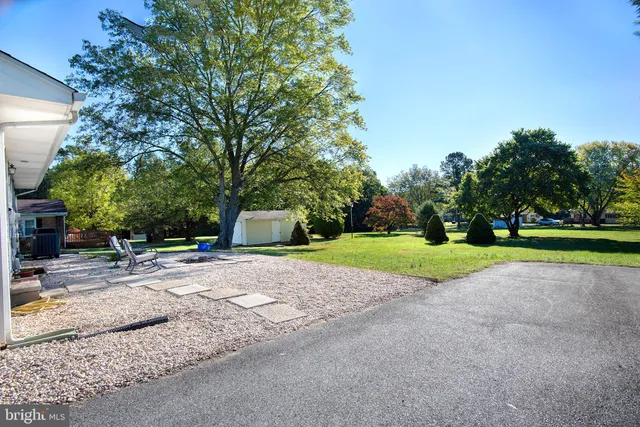 a view of garden with trees