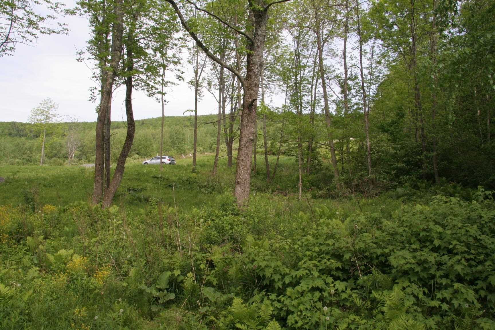 1590 Coppermine Road Monroe, NH 03771 - Photo 9 of 16