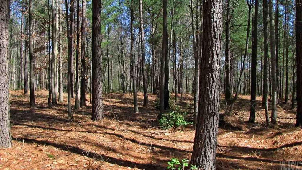 173 Greens Road, Unit 168 Granite Falls, NC 28630 - Photo 2 of 21 Gallery Image 2