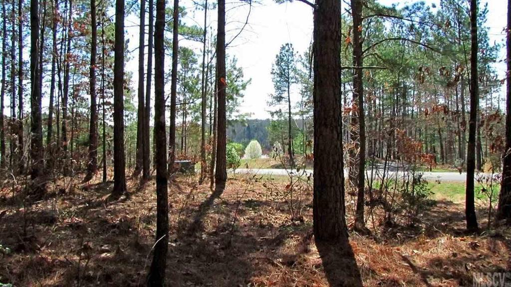 173 Greens Road, Unit 168 Granite Falls, NC 28630 - Photo 16 of 21 Gallery Image 16