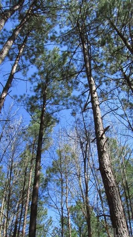 173 Greens Road, Unit 168 Granite Falls, NC 28630 - Photo 17 of 21 Gallery Image 17
