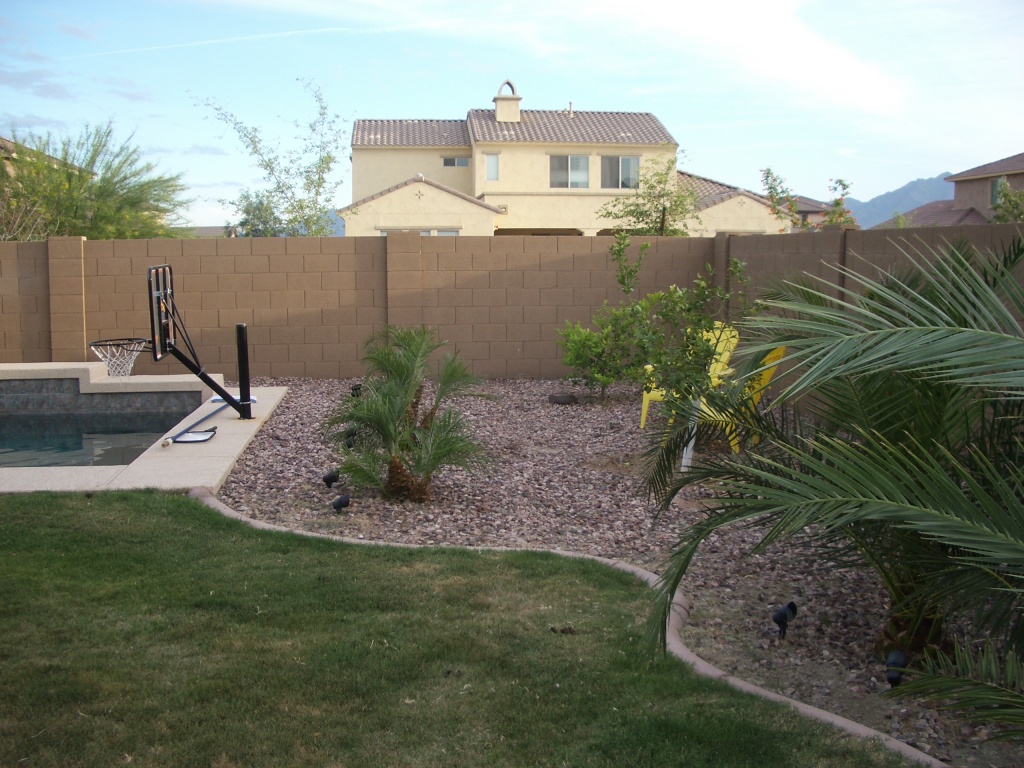 6925 West Carter Road Laveen, AZ 85339 - Photo 11 of 12 Back landscaping