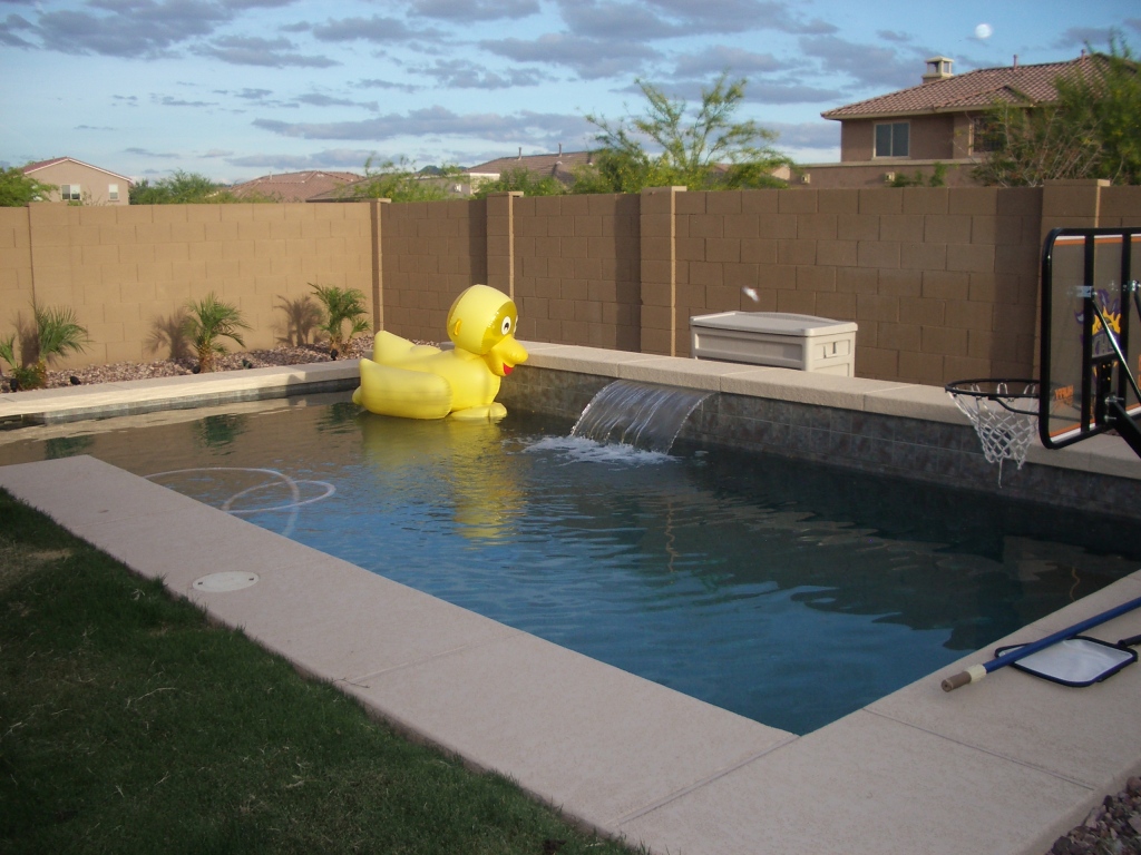 6925 West Carter Road Laveen, AZ 85339 - Photo 3 of 12 Gorgeous pool