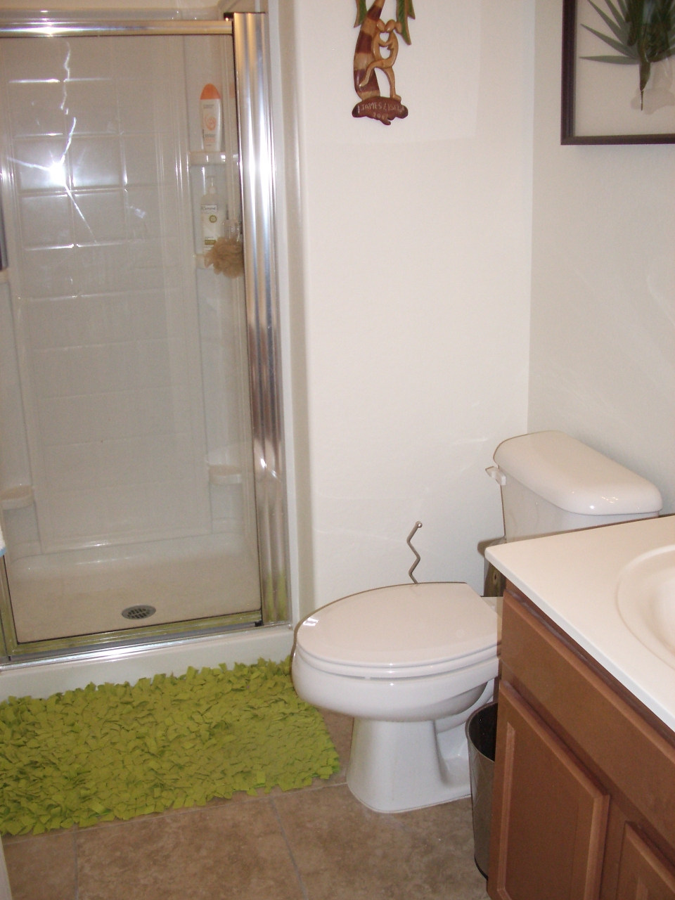 6925 West Carter Road Laveen, AZ 85339 - Photo 8 of 12 bathroom