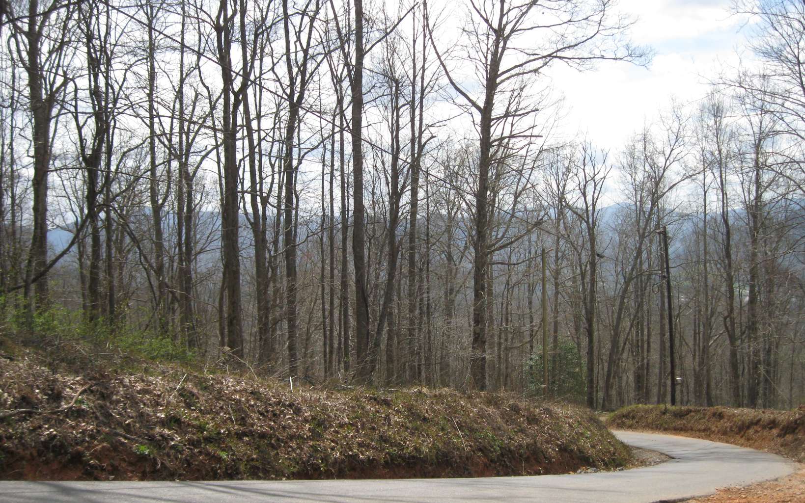 Bell Mountain Road Hiawassee, GA 30546 - Photo 2 of 7 Additional View