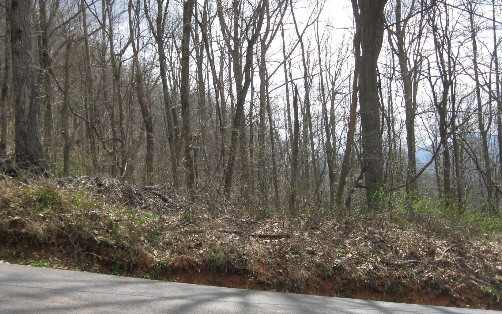 Bell Mountain Road Hiawassee, GA 30546 - Photo 3 of 7 Additional View