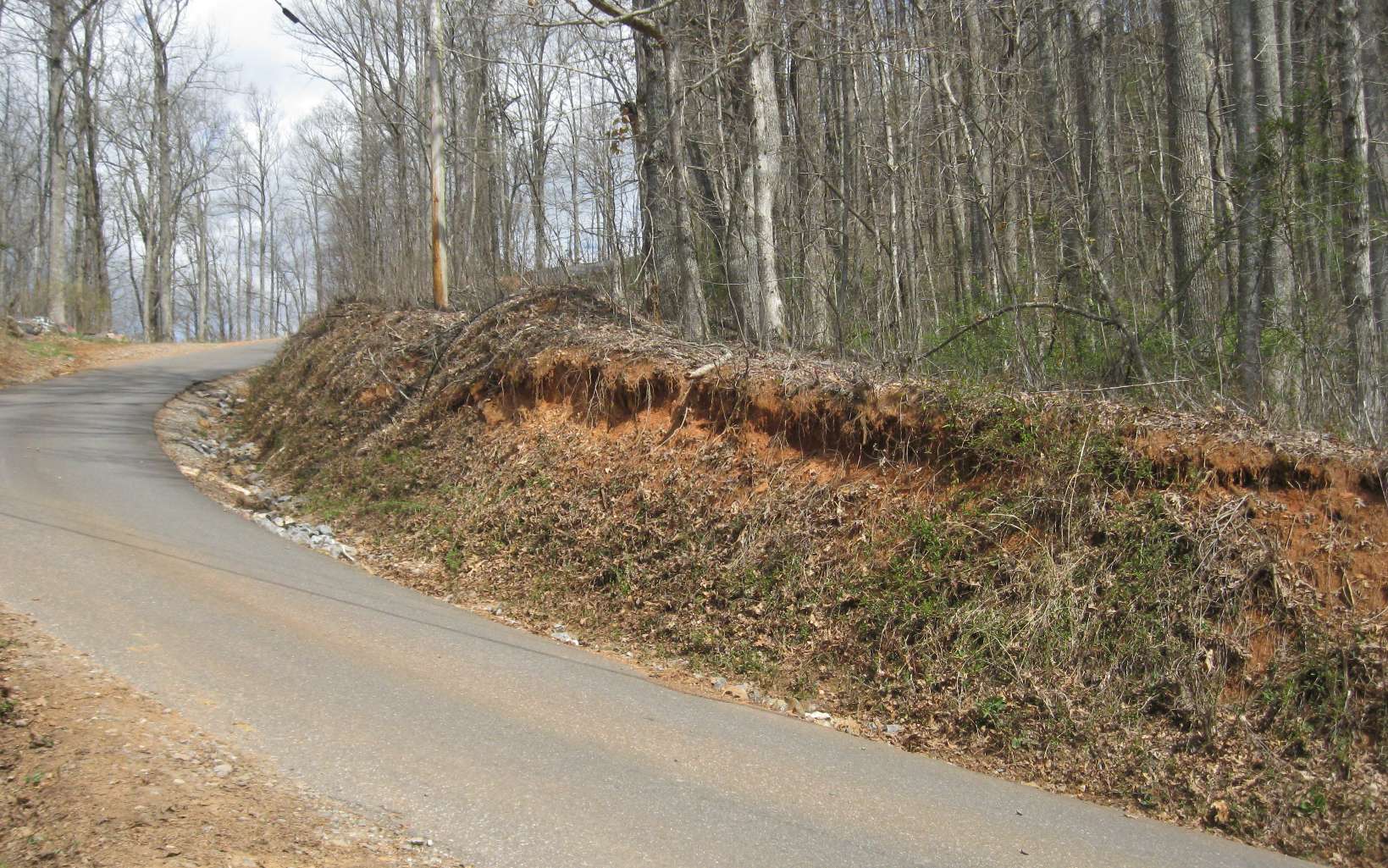 Bell Mountain Road Hiawassee, GA 30546 - Photo 4 of 7 Additional View