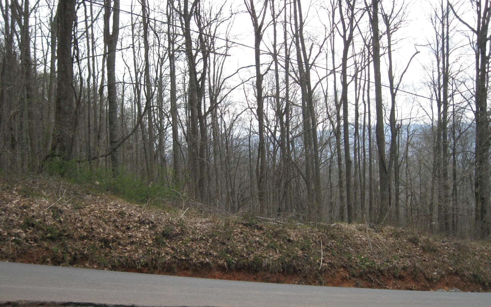 Bell Mountain Road Hiawassee, GA 30546 - Photo 5 of 7 Additional View