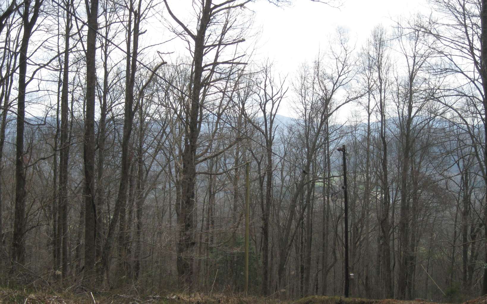 Bell Mountain Road Hiawassee, GA 30546 - Photo 6 of 7 Additional View