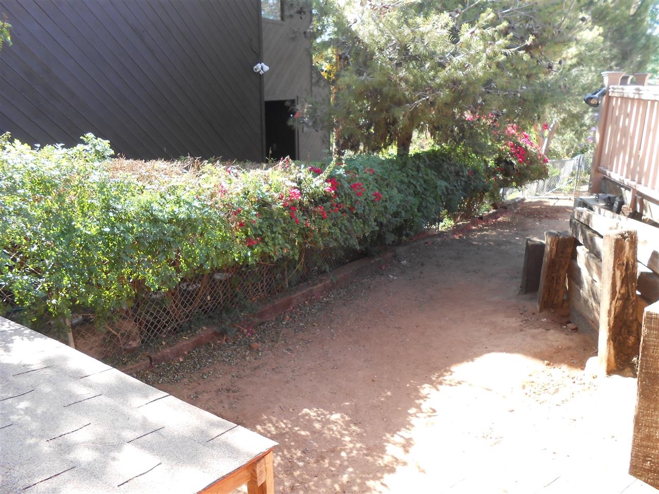 1202 Canter Road Escondido, CA 92027 - Photo 23 of 25 Dog run