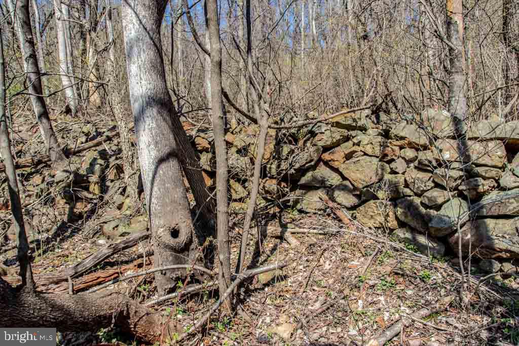 0 Moormont Road Rapidan, VA 22733 - Photo 8 of 9 Gallery Image 8