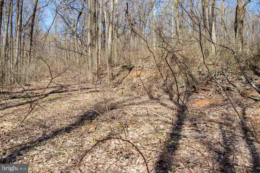 0 Moormont Road Rapidan, VA 22733 - Photo 9 of 9 Gallery Image 9