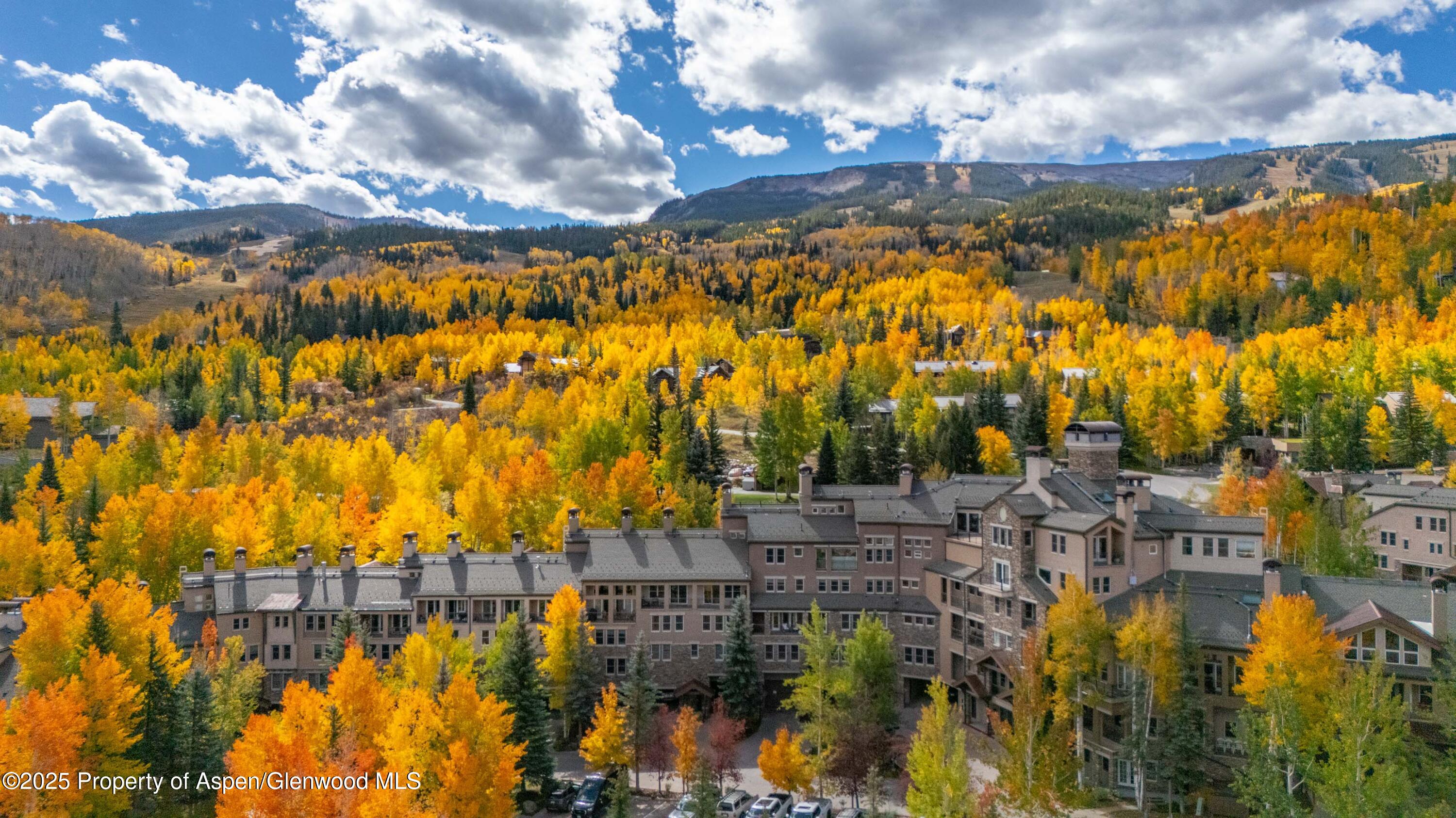 425 Wood Road, Unit 10 Snowmass Village, CO 81615 - Photo 24 of 28 DJI_20251003112409_0046_D