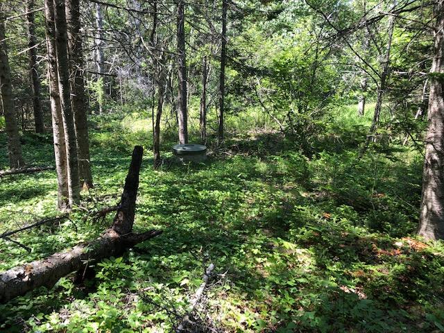 76 Labrador Lane Addison, ME 04606 - Photo 15 of 20 IMG_2456