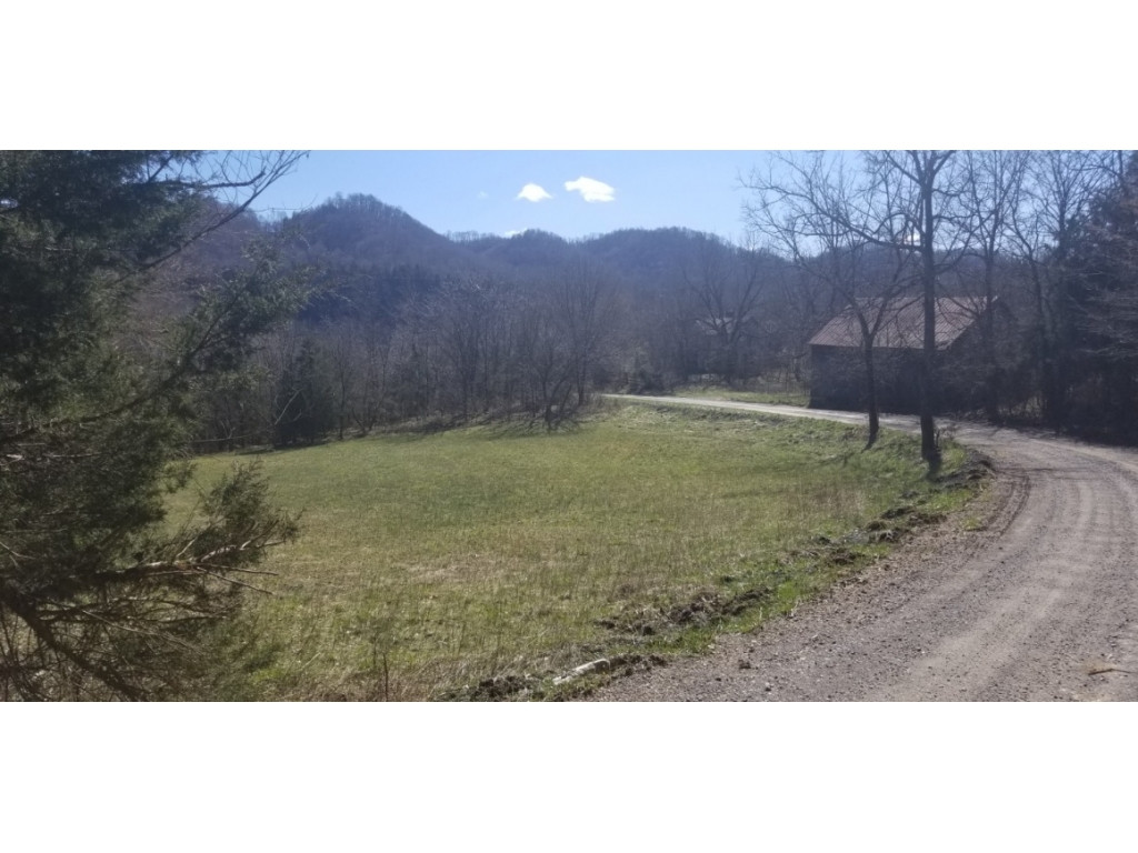 Tbd Snowflake Road Gate City, VA 24251 - Photo 16 of 26 Photo 17