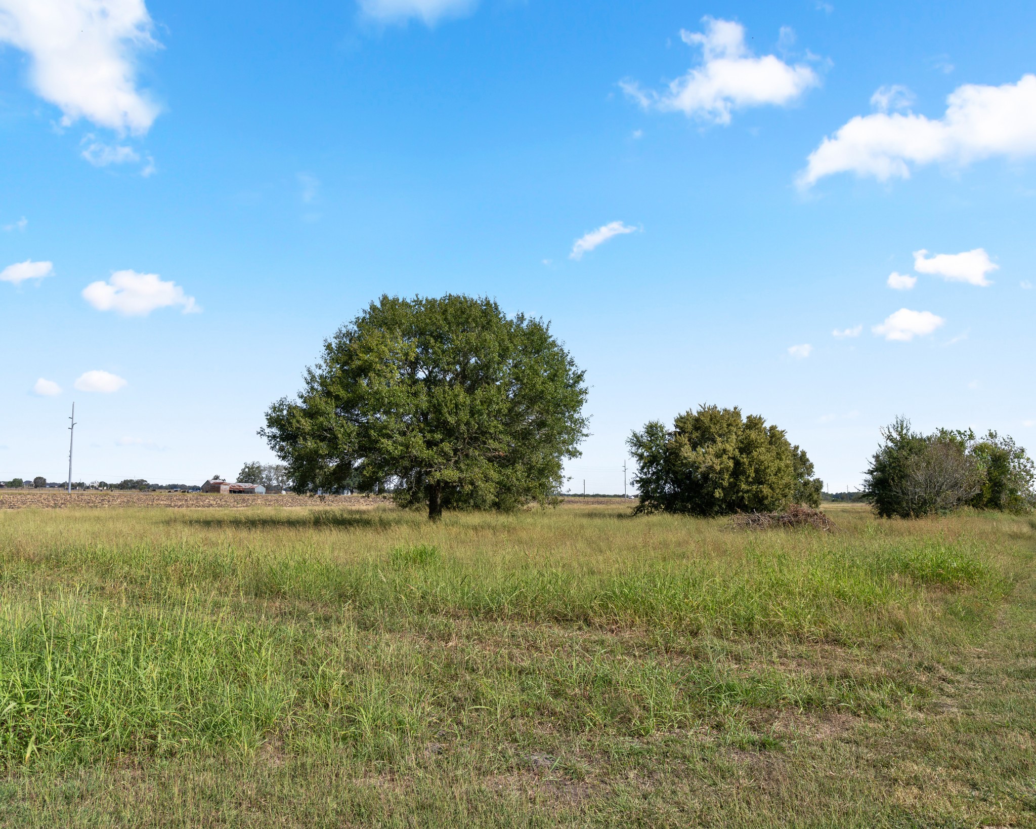 0 Jeske Road Needville, TX 77461 - Photo 6 of 18