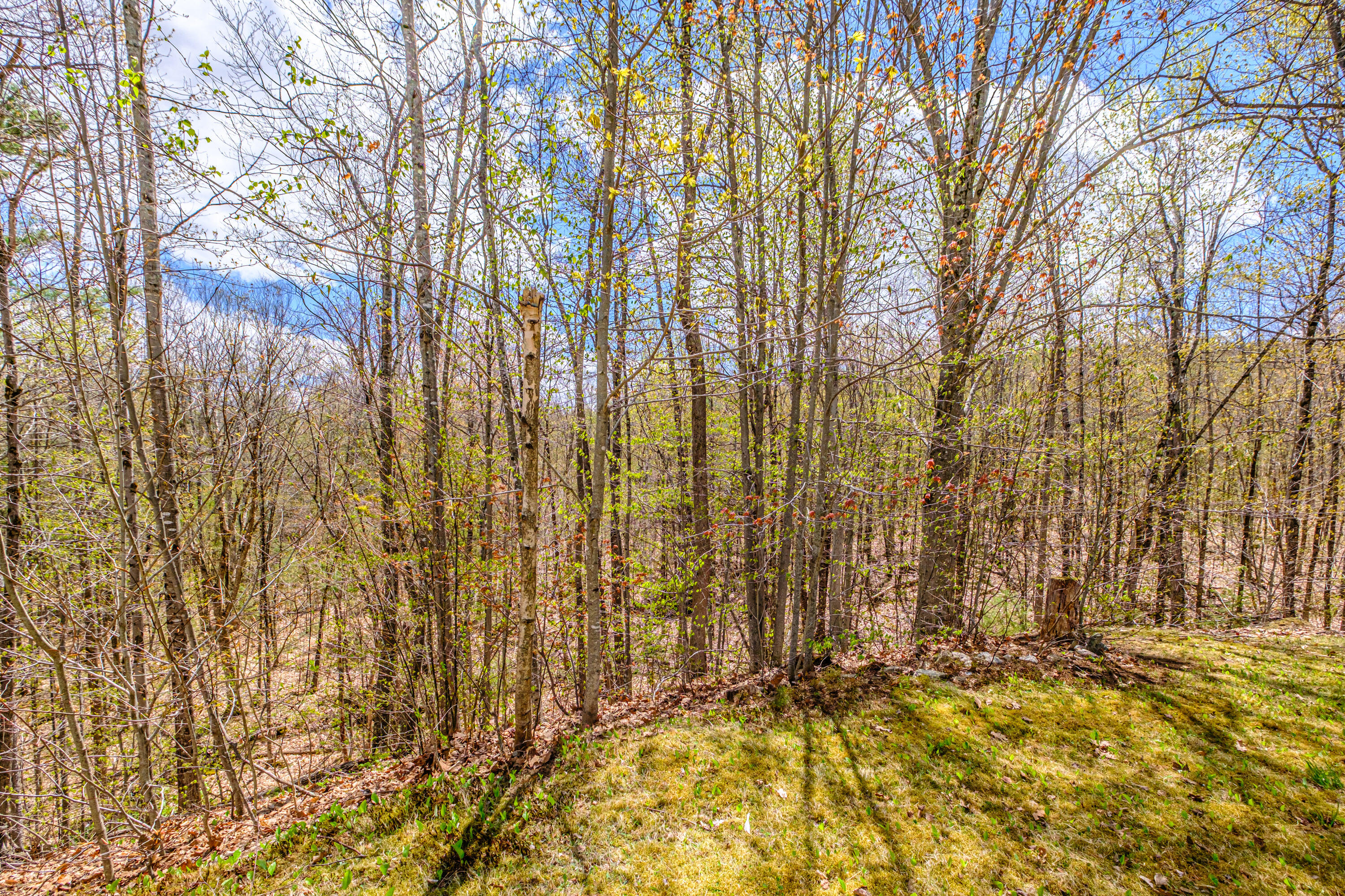 263 King Hill Road Paris, ME 04281 - Photo 50 of 53