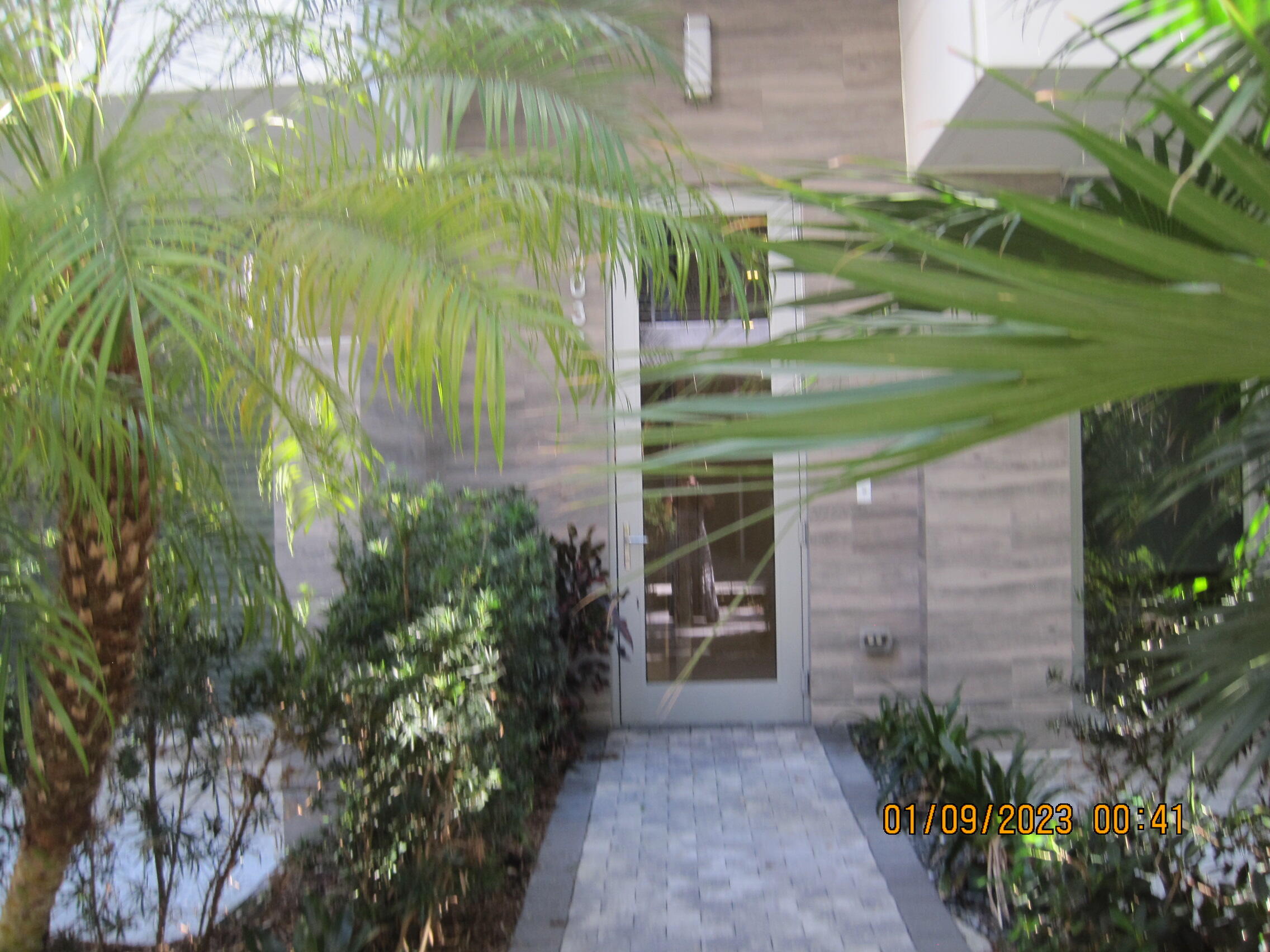 a backyard of a building with large trees and plants