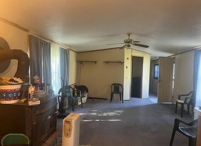 6030 Lauer Road Prospect, OH 43342 - Photo 2 of 19 5