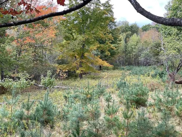 $495,000 | Map4-lot3 East Bucksport Road, Orrington, ME 04474