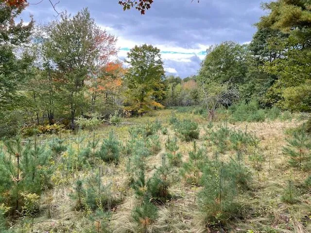 $495,000 | Map4-lot3 East Bucksport Road, Orrington, ME 04474