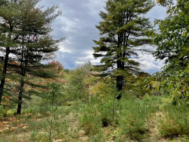 $495,000 | Map4-lot3 East Bucksport Road, Orrington, ME 04474