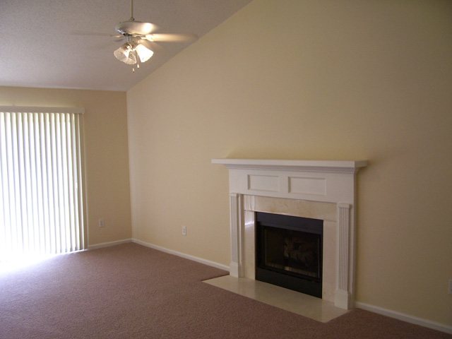 351 Riverside Chase Circle Greer, SC 29650 - Photo 2 of 7