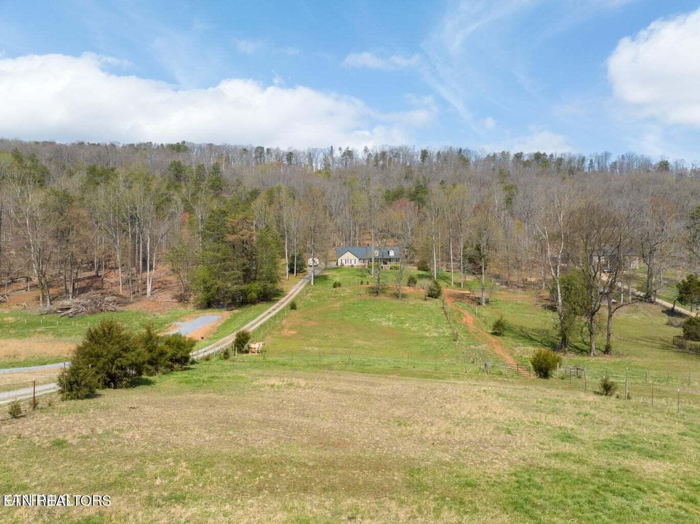 2027 Rhea Road Knoxville, TN 37920 - Photo 5 of 46 Gallery Image 5
