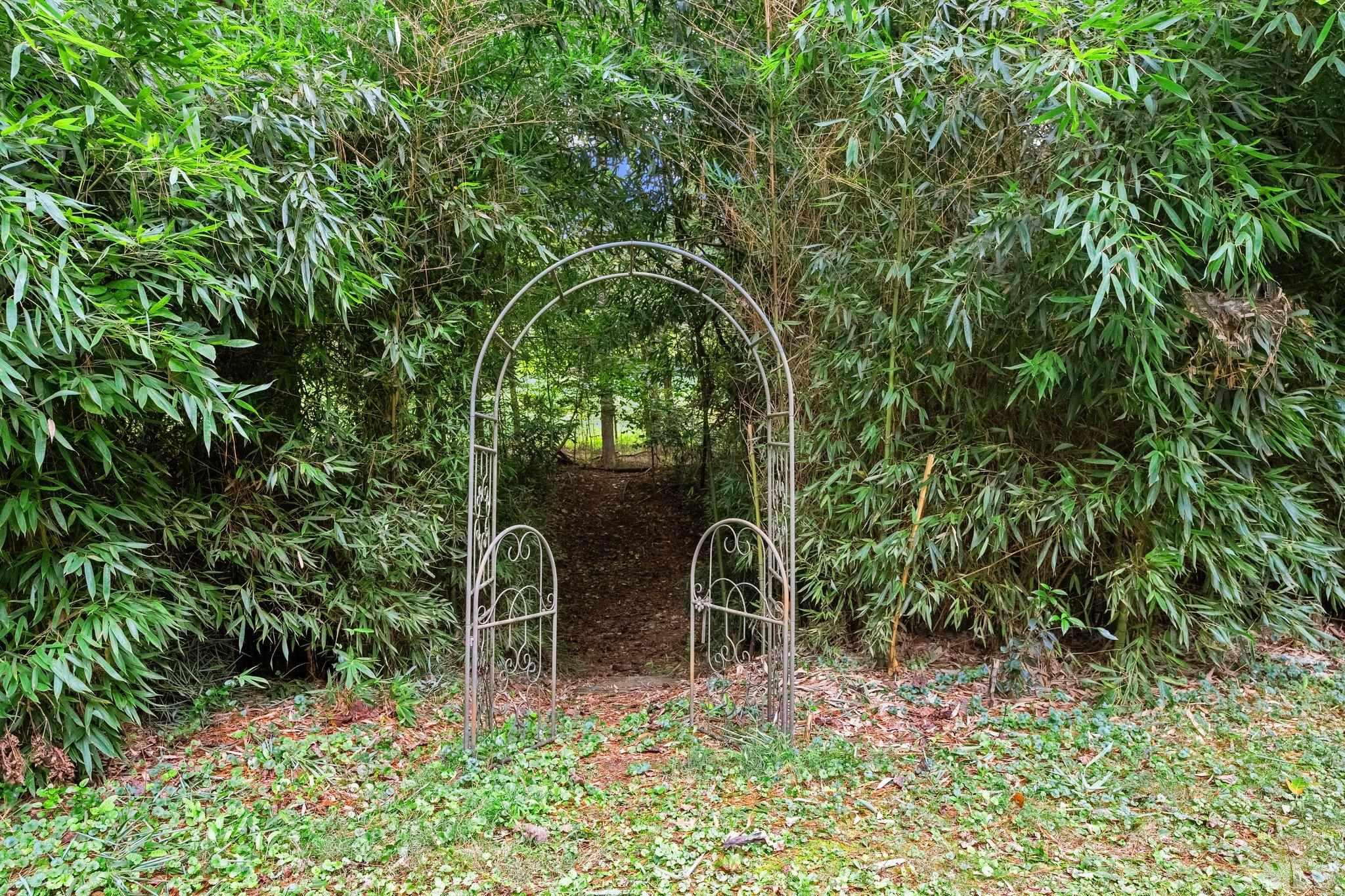 386 St Marys Road Hillsborough, NC 27278 - Photo 52 of 64