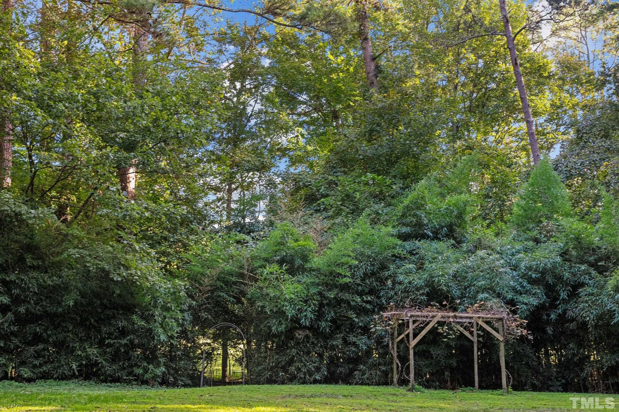 386 St Marys Road Hillsborough, NC 27278 - Photo 54 of 64