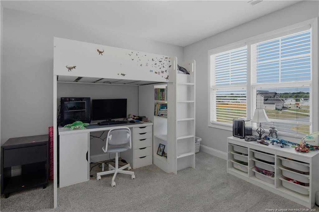 258 Collier Street Linden, NC 28356 - Photo 34 of 49 Photo 34