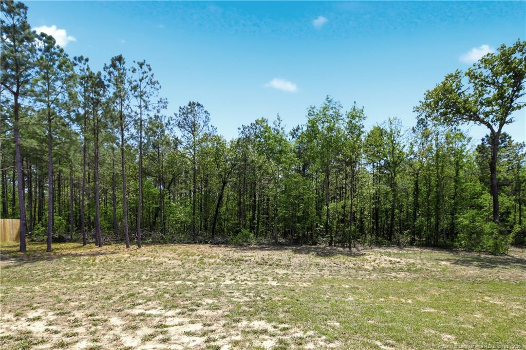 258 Collier Street Linden, NC 28356 - Photo 48 of 49 Photo 48