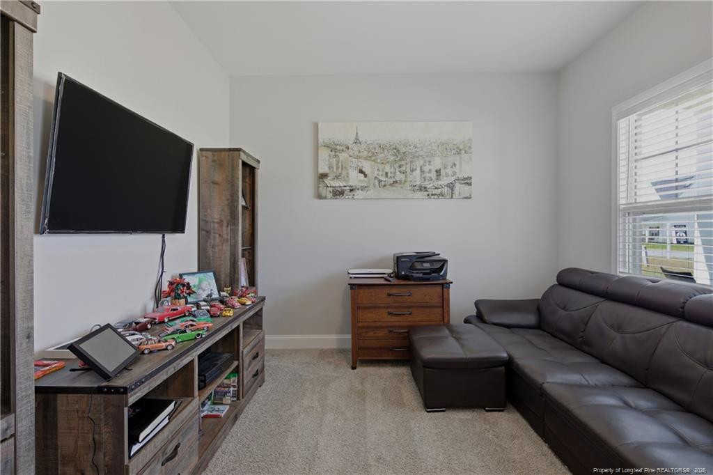 258 Collier Street Linden, NC 28356 - Photo 6 of 49 Photo 6