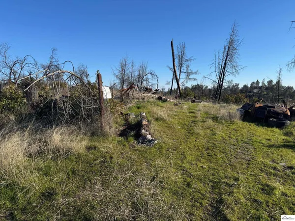 $29,123 | 15743-15753 Pine Needle Court, Corning, CA 96021