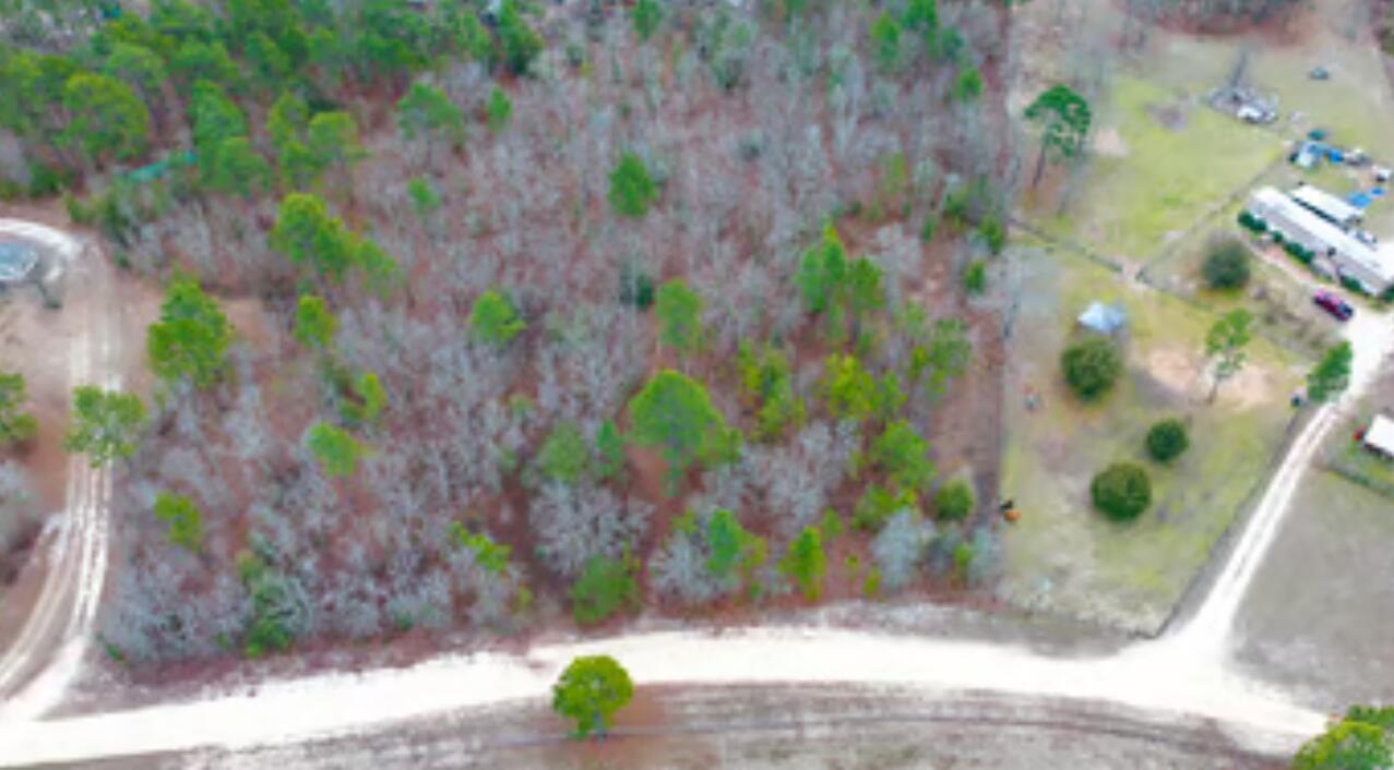 0 Fox Run Windsor, SC 29856 - Photo 10 of 15