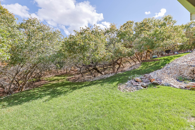 569 Elk Meadow Loop Tooele, UT 84074 - Photo 5 of 56 View of green lawn