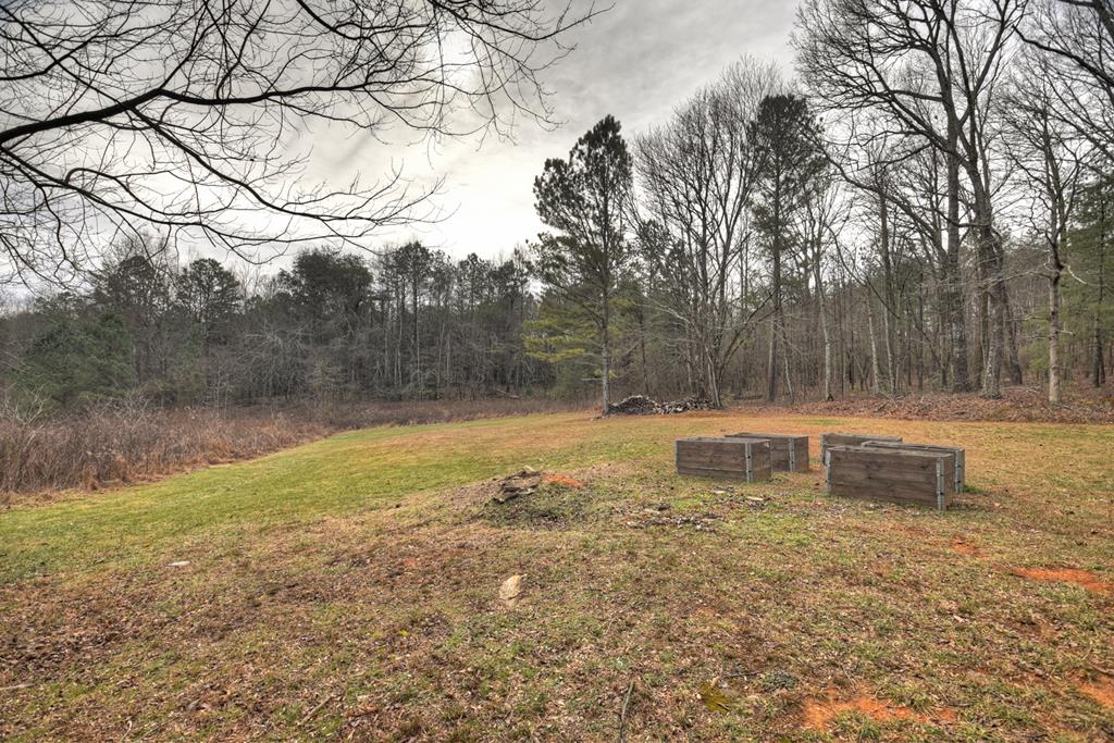 42 Evergreen Ridge Road Ellijay, GA 30536 - Photo 34 of 39 Gallery Image 34