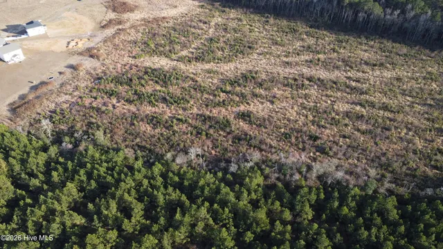 $75,000 | Lot 31 Talton Estates Drive, Pikeville, NC 27863