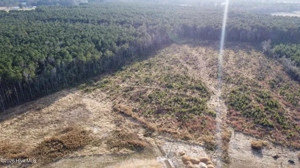 $75,000 | Lot 31 Talton Estates Drive, Pikeville, NC 27863