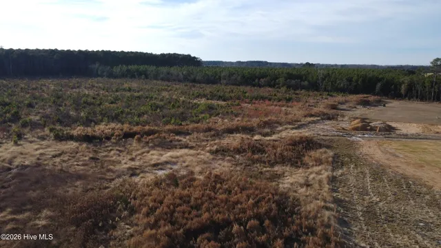 $75,000 | Lot 31 Talton Estates Drive, Pikeville, NC 27863