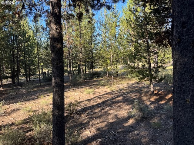 Bear Flat Road, Unit 100 Chemult, OR 97731 - Photo 9 of 22 Gallery Image 9