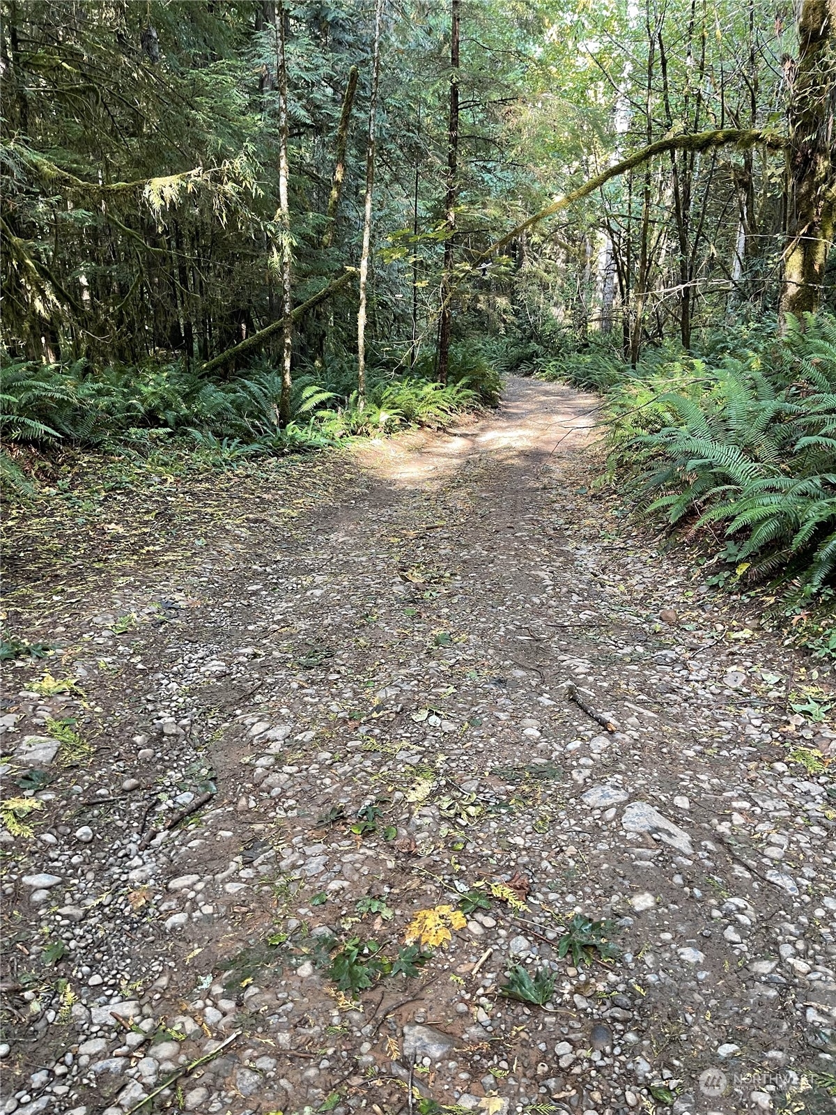 0 Butler Mill Road Elma, WA 98541 - Photo 3 of 9 Gallery Image 3