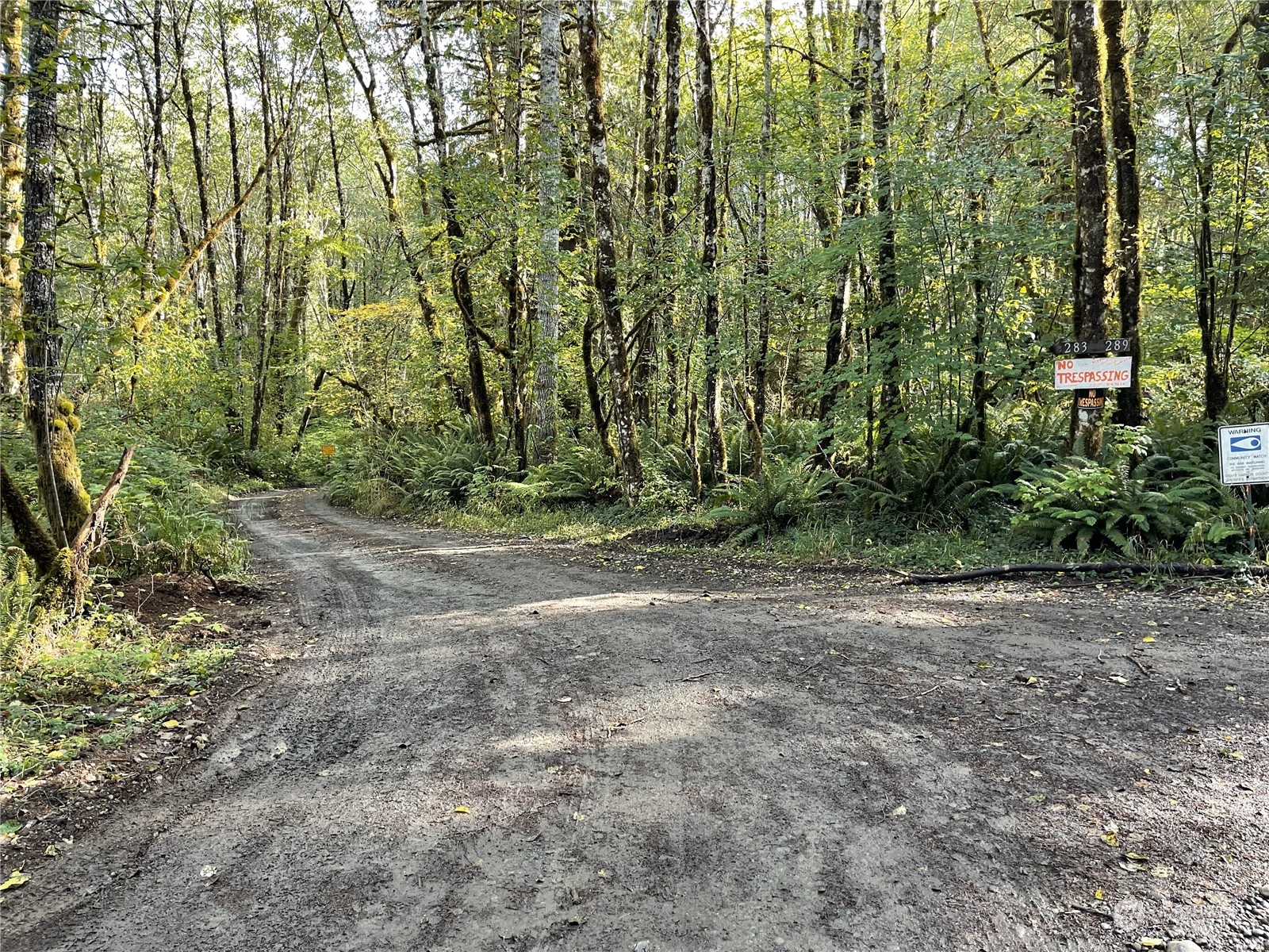 0 Butler Mill Road Elma, WA 98541 - Photo 6 of 9 Gallery Image 6