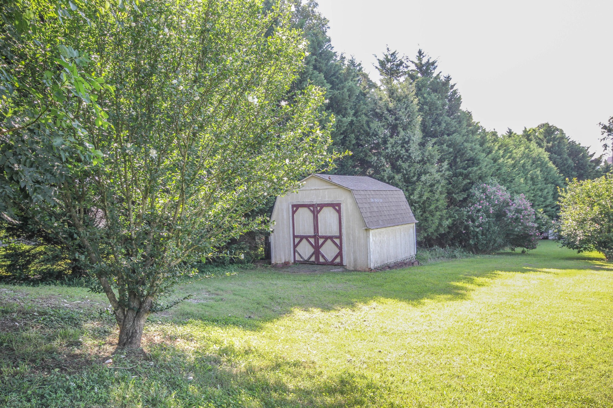5510 J Riley W Drive Greenback, TN 37742 - Photo 9 of 40 a view of a trees with a big yard