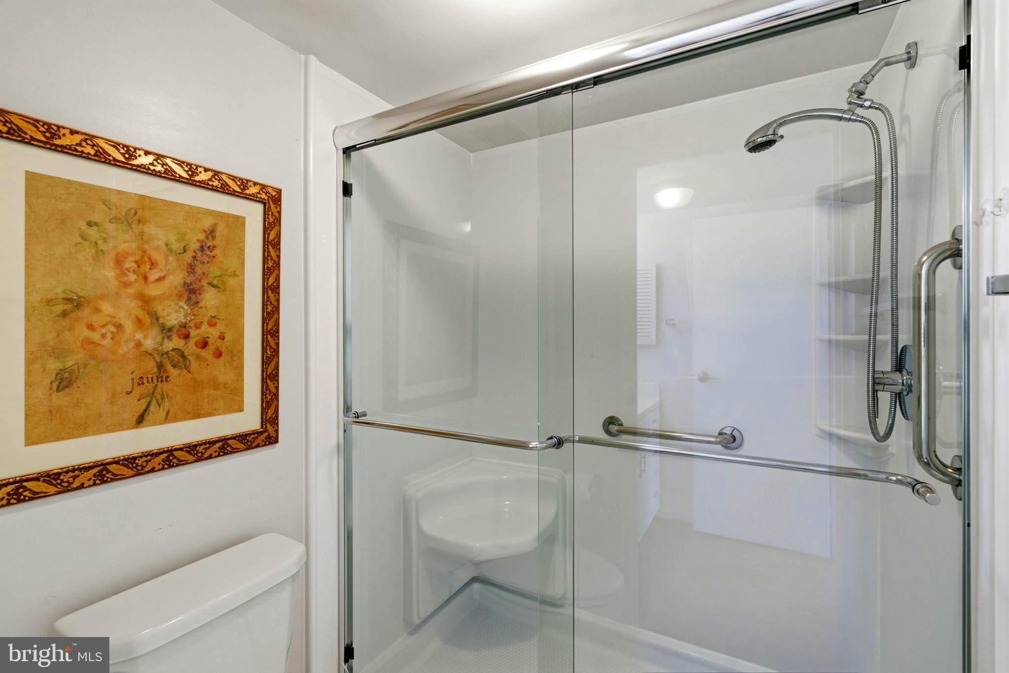 205 East Joppa Road, Unit 1809 Towson, MD 21286 - Photo 19 of 31 Sleek new shower door